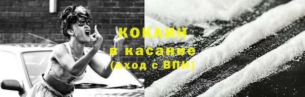 гашик Аркадак