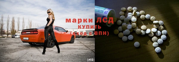 прущие грибы Армянск