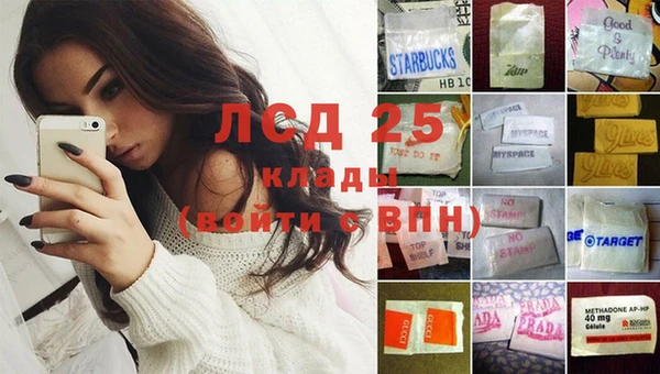 прущие грибы Армянск