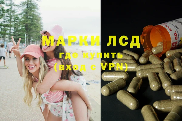 прущие грибы Армянск