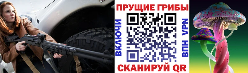 Галлюциногенные грибы Psilocybe  где можно купить   Ивдель 